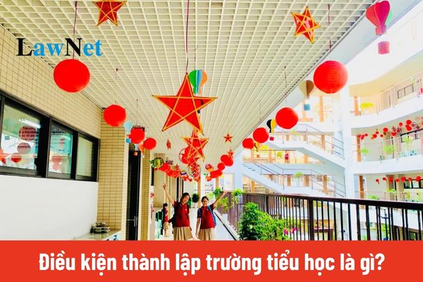 Từ ngày 20/11/2024 thì điều kiện thành lập trường tiểu học là gì?