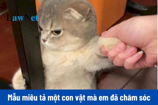 Sample Description of an Animal You Have Cared for and Bonded with - Grade 4 Vietnamese Language