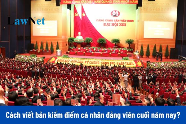 Cách viết bản kiểm điểm cá nhân đảng viên cuối năm 2024?