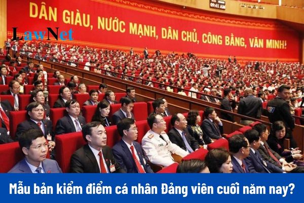 Mẫu 02B bản kiểm điểm cá nhân Đảng viên cuối năm 2024?