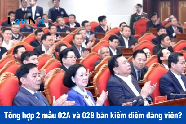 Tổng hợp 2 mẫu 02A và 02B bản kiểm điểm đảng viên cuối năm 2024? 