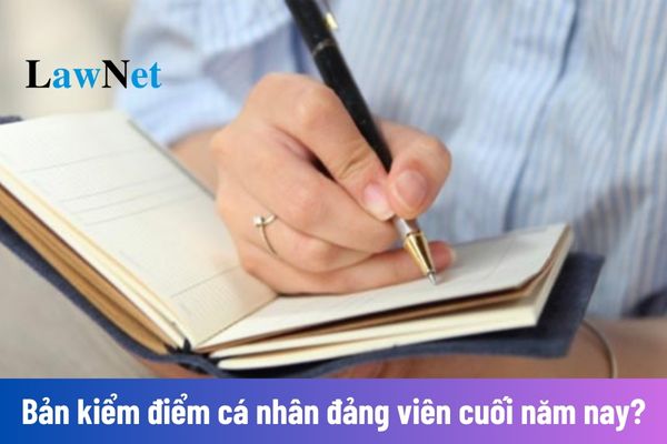 Cách viết hạn chế, khuyết điểm và nguyên nhân trong Bản kiểm điểm đảng viên cuối năm 2024?