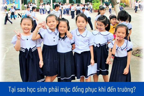 Tại sao học sinh phải mặc đồng phục khi đến trường?