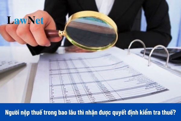 Người nộp thuế trong bao lâu thì nhận được quyết định kiểm tra thuế?