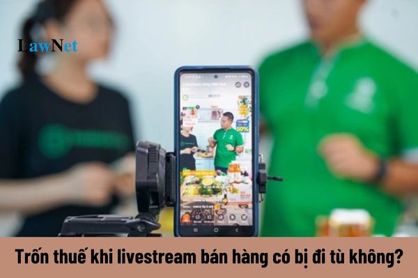 Trốn thuế khi livestream bán hàng có bị đi tù không?