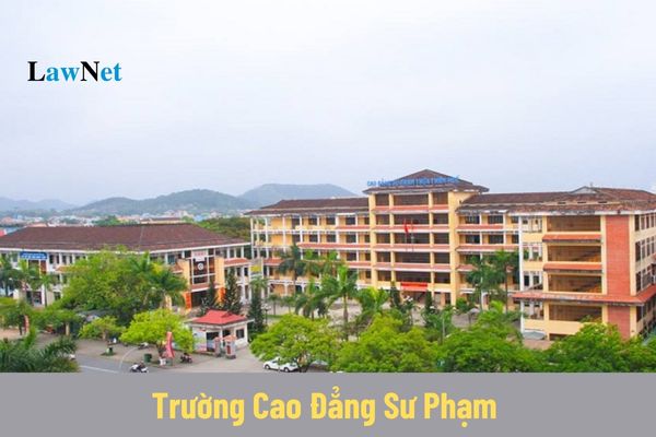 Các trường hợp giải thể trường cao đẳng sư phạm từ 20/11/2024?