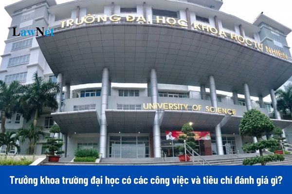 Các công việc và tiêu chí đánh giá Trưởng khoa trường đại học như thế nào?