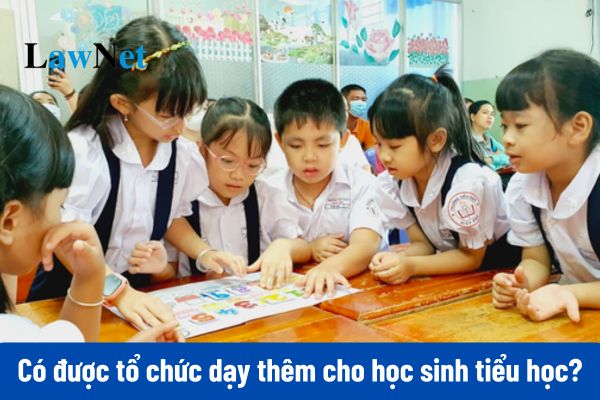 Có được tổ chức dạy thêm cho học sinh tiểu học?