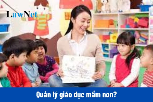 Quản lý giáo dục mầm non bao gồm những hoạt động gì?