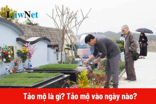 Tảo mộ là gì? Tảo mộ 2025 vào ngày nào?