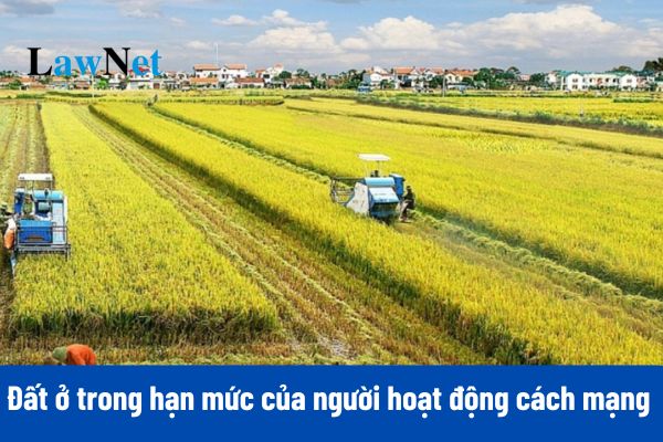 Đất ở trong hạn mức của người hoạt động cách mạng có được miễn thuế sử dụng đất phi nông nghiệp không?