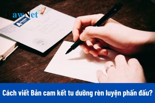 Cách viết Bản cam kết tu dưỡng rèn luyện phấn đấu năm 2025 mới nhất?