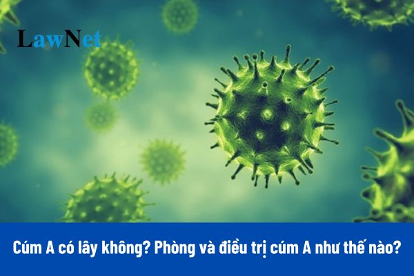 Cúm A có lây không? Phòng và điều trị cúm A như thế nào?