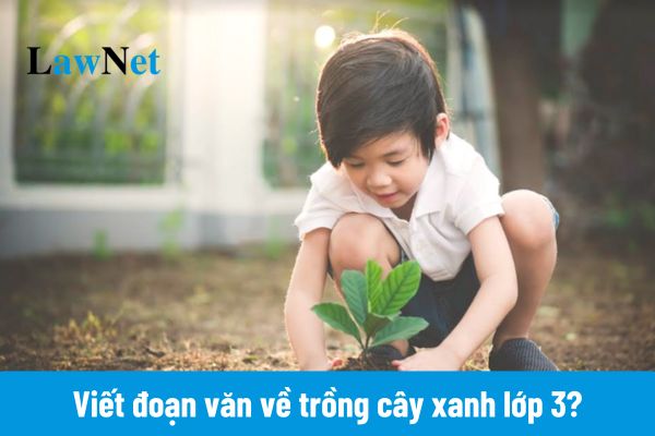 Top 10 mẫu viết đoạn văn về trồng cây xanh lớp 3 ngắn gọn?