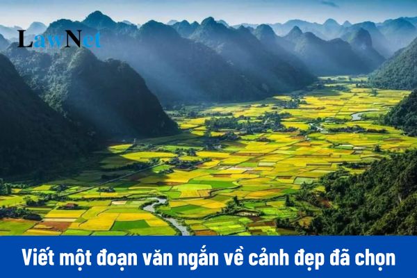 Top 8+ mẫu viết một đoạn văn ngắn về cảnh đẹp đã chọn lớp 3?