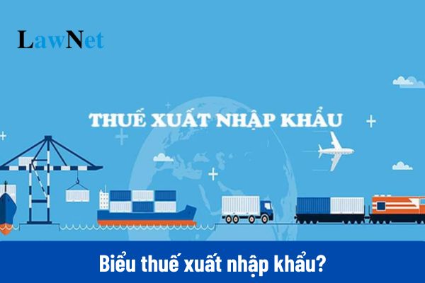 Biểu thuế xuất nhập khẩu 2025? Link tải về file Excel?