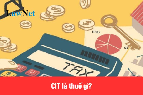 CIT là thuế gì?