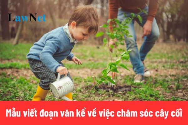 Tổng hợp 12+ viết đoạn văn kể về việc chăm sóc cây cối lớp 2 ngắn gọn?