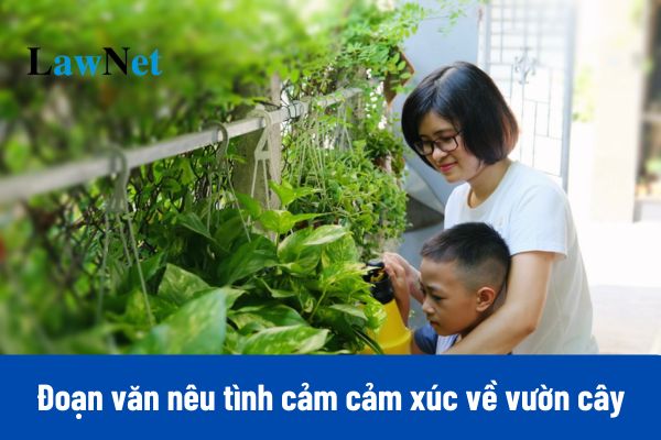 9+ Mẫu viết đoạn văn nêu tình cảm cảm xúc về vườn cây trong trường em hoặc khu nhà em ở ngắn gọn?