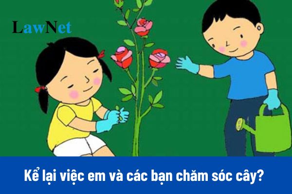 Xem 15+ mẫu viết 3-5 câu kể lại việc em và các bạn chăm sóc cây lớp 2 hay nhất?