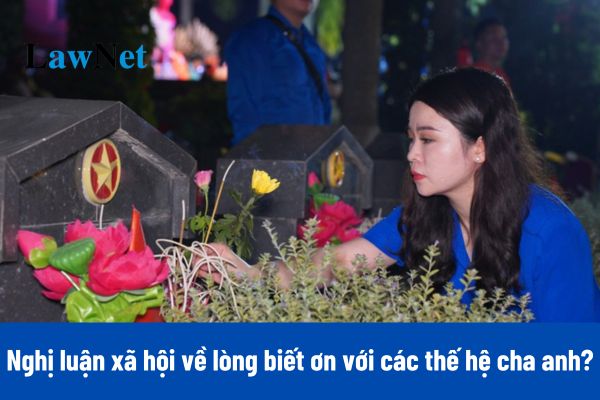 4+ Nghị luận xã hội về lòng biết ơn với các thế hệ cha anh và trách nhiệm của thanh niên