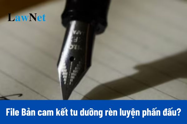 File Bản cam kết tu dưỡng rèn luyện phấn đấu 2025?