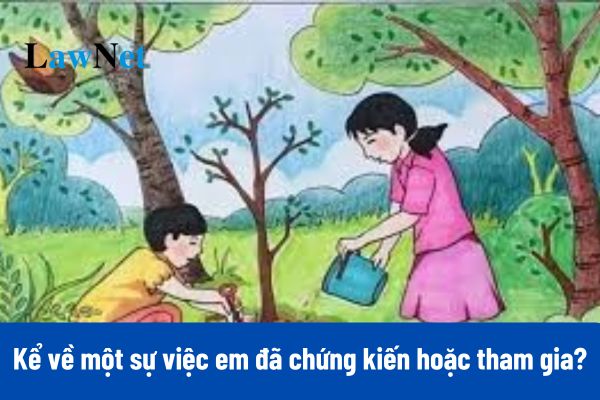 10+ Mẫu viết 3-5 câu kể về một sự việc em đã chứng kiến hoặc tham gia ở nơi em sống?