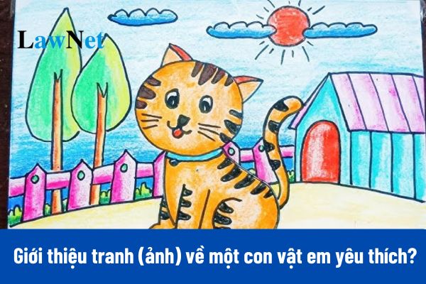 8+ Viết 3-5 câu giới thiệu tranh (ảnh) về một con vật em yêu thích?