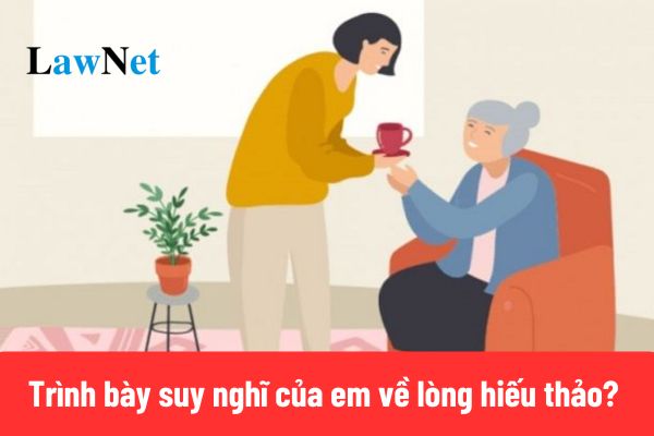 5+ Mẫu trình bày suy nghĩ của em về lòng hiếu thảo lớp 12?