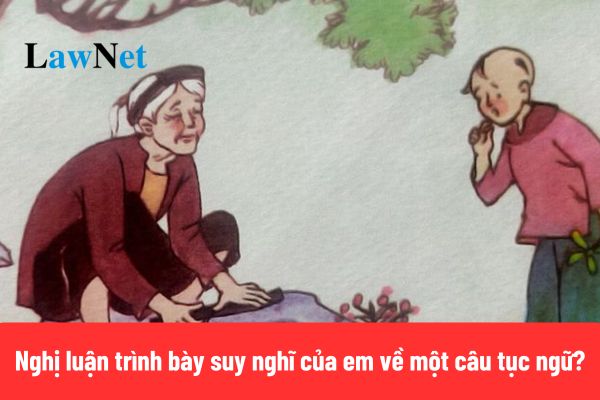 Top 4+ viết bài văn nghị luận trình bày suy nghĩ của em về một câu tục ngữ?