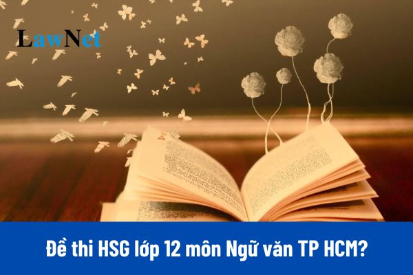 Đáp án đề thi HSG lớp 12 môn Ngữ văn TP HCM năm học 2024 2025?