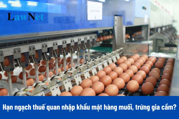 Lượng hạn ngạch thuế quan nhập khẩu mặt hàng muối, trứng gia cầm năm 2025 ra sao?