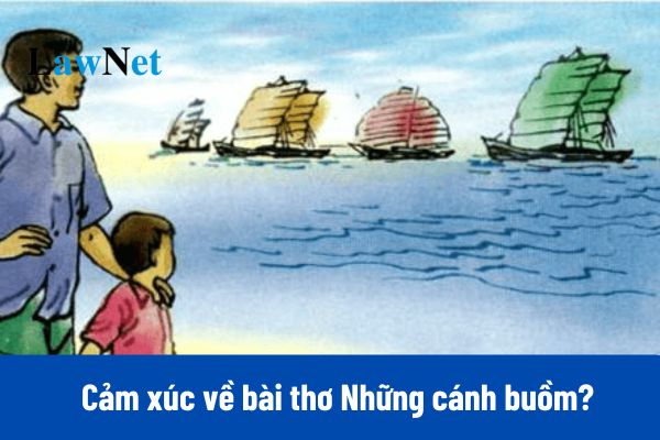 7+ Mẫu viết đoạn văn ghi lại cảm xúc về bài thơ Những cánh buồm?