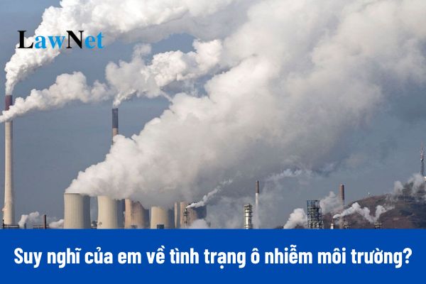 Mẫu viết đoạn văn trình bày suy nghĩ của em về tình trạng ô nhiễm môi trường hiện nay?