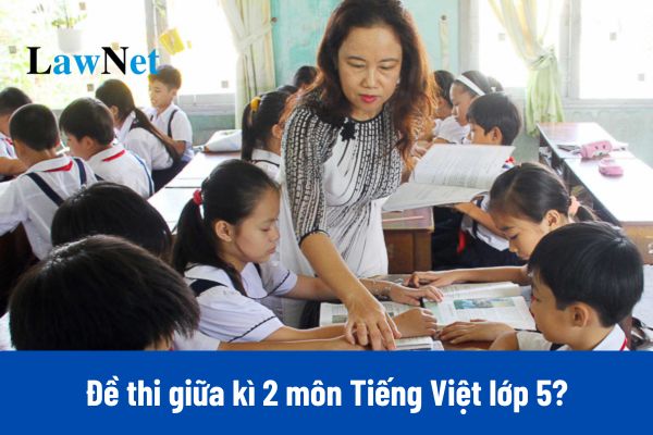 3+ Đề thi giữa kì 2 môn Tiếng Việt lớp 5 năm học 2024 2025 mới nhất? Có đáp án chi tiết?