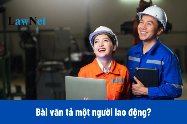 Tổng hợp 30+ bài văn tả một người lao động ngắn gọn và hay nhất?