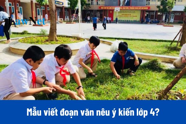 10+ Mẫu viết đoạn văn nêu ý kiến lớp 4?