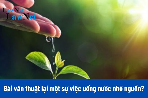 10+ Viết bài văn thuật lại một sự việc uống nước nhớ nguồn ngắn gọn?