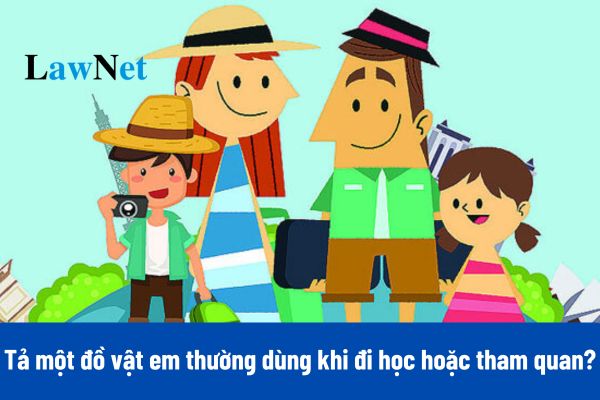 Top 10 bài tả một đồ vật em thường dùng khi đi học hoặc khi đi tham quan, du lịch lớp 3? 