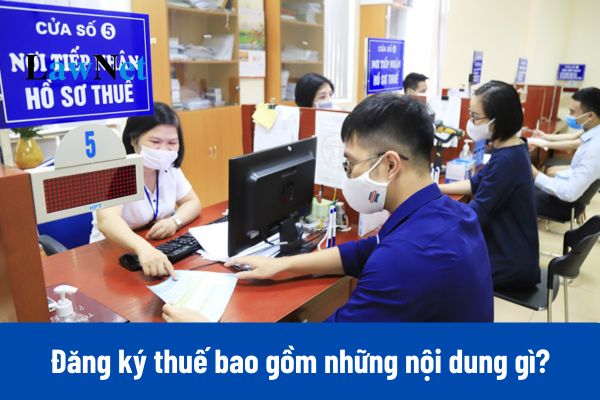 Đăng ký thuế 2025 bao gồm những nội dung gì?