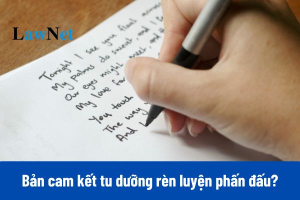 Bản cam kết tu dưỡng rèn luyện phấn đấu năm 2025?