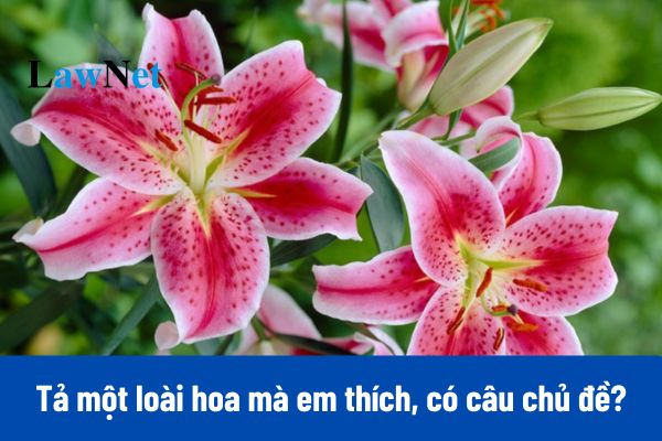 15+ Viết đoạn văn ngắn tả một loài hoa mà em thích, có câu chủ đề lớp 4