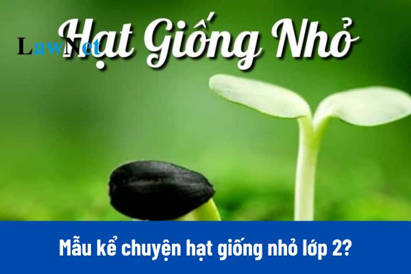 Mẫu kể chuyện hạt giống nhỏ lớp 2?