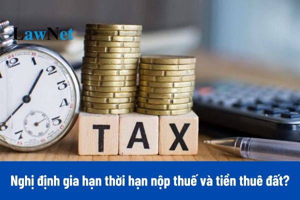 Dự kiến trình Chính phủ 02 Nghị định gia hạn thời hạn nộp thuế và tiền thuê đất trước ngày 15/3/2025?