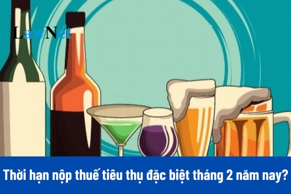 Thời hạn nộp hồ sơ khai thuế tiêu thụ đặc biệt tháng 2 2025 là khi nào?