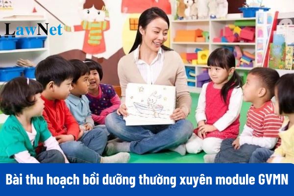 Bài thu hoạch bồi dưỡng thường xuyên module GVMN 3 năm 2024 mới nhất?