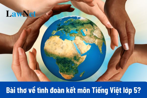 Top 04 bài thơ về tình đoàn kết môn Tiếng Việt lớp 5?