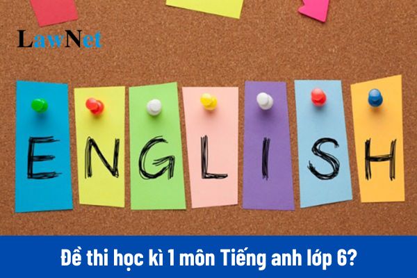 Đề thi học kì 1 môn Tiếng anh lớp 6 năm 2024 đi kèm đáp án?