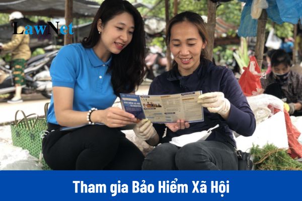 Người quản lý doanh nghiệp không hưởng tiền lương vẫn tham gia BHXH?