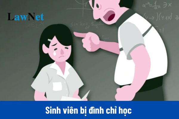 Có được đánh giá kết quả rèn luyện đối với sinh viên bị đình chỉ học không?